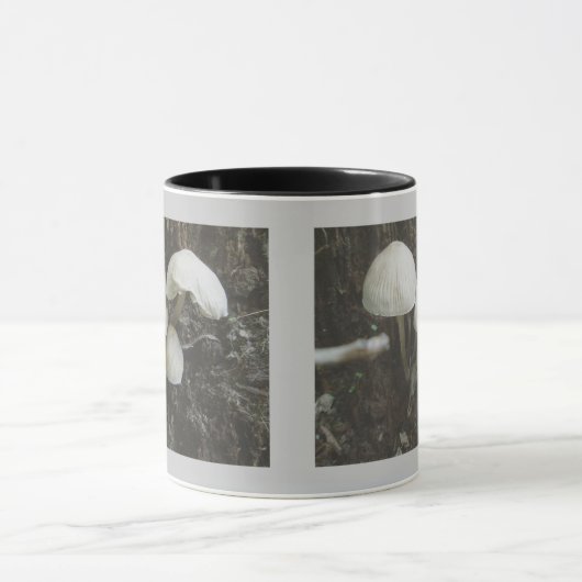 Pilze in der Tasse (Zentrum)