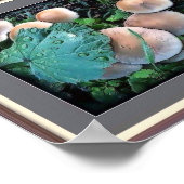 Pilze in Grasplakaten Poster (Ecke)