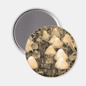 Pilze in Sepia Magnet (Vorderseite/Rückseite)