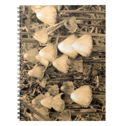 Pilze in Sepia Notizblock (Vorderseite)