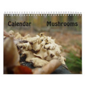 Pilze Kalender (Titelbild)