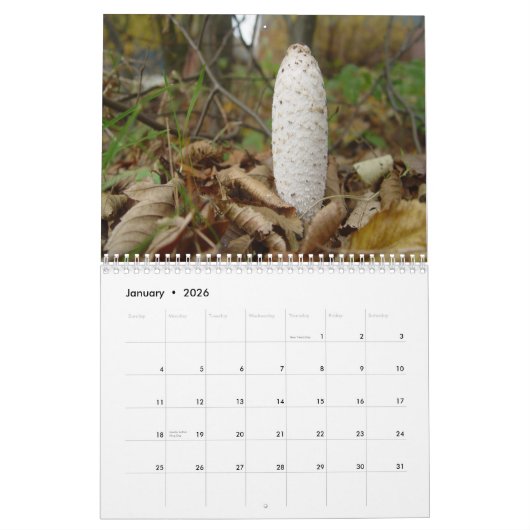 Pilze Kalender (Jan 2026)