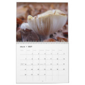 Pilze Kalender (Mär 2027)