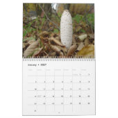 Pilze Kalender (Jan 2027)