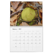 Pilze Kalender (Feb 2027)