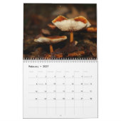 Pilze Kalender (Feb 2027)