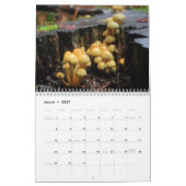Pilze Kalender (Mär 2027)