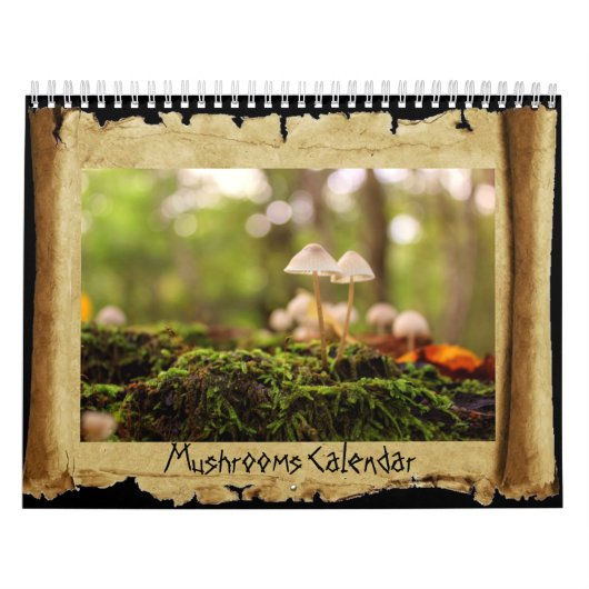 Pilze Kalender (Titelbild)