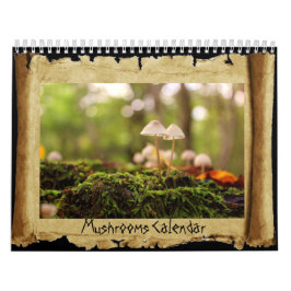 Pilze Kalender