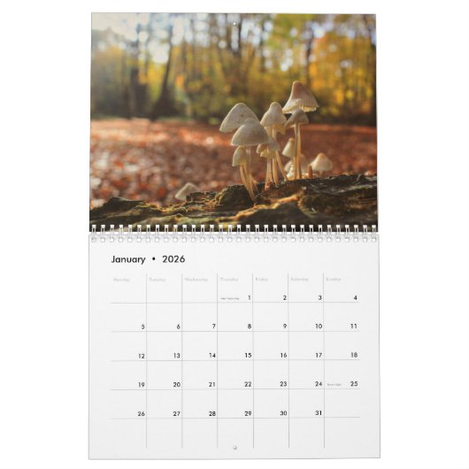 Pilze Kalender (Jan 2026)