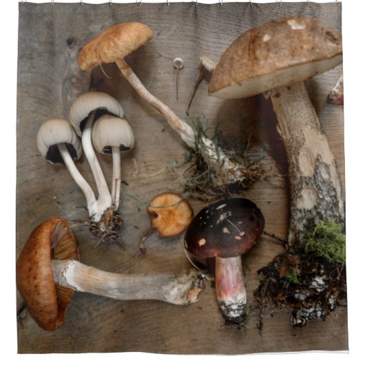 Pilze Liebe Fungi Duschvorhang (Vorderseite)