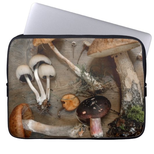 Pilze Liebe Fungi Laptopschutzhülle (Vorderseite)