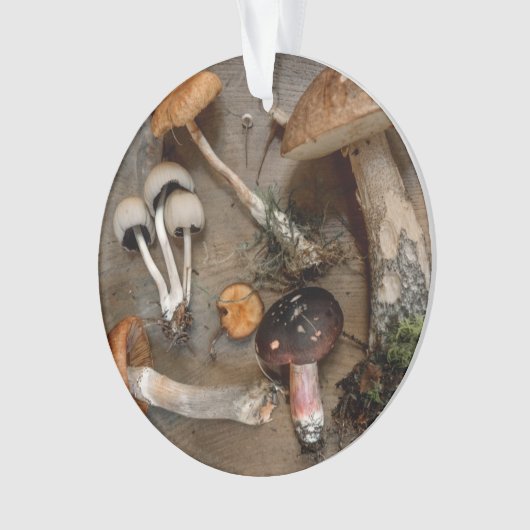 Pilze Liebe Fungi Ornament (Vorderseite)
