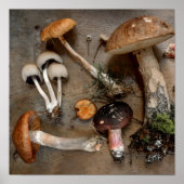 Pilze Liebe Fungi Poster (Vorne)