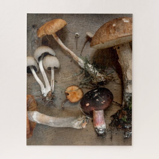 Pilze Liebe Fungi Puzzle (Vertikal)