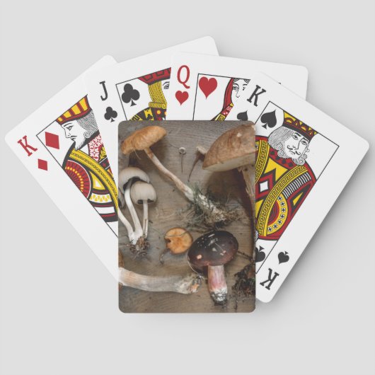 Pilze Liebe Fungi Spielkarten (Rückseite)