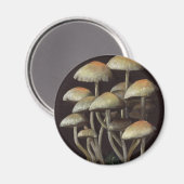 Pilze Magnet (Vorderseite/Rückseite)