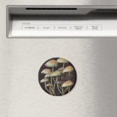 Pilze Magnet (In Situ (Geschirrspüler))
