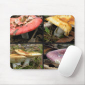 Pilze Mousepad (Mit Mouse)