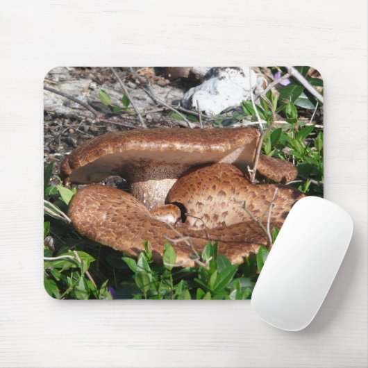Pilze Mousepad (Mit Mouse)