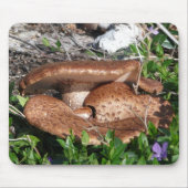 Pilze Mousepad (Vorne)