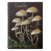 Pilze Notizblock (Vorderseite)