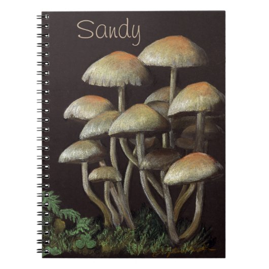 Pilze Notizblock (Vorderseite)