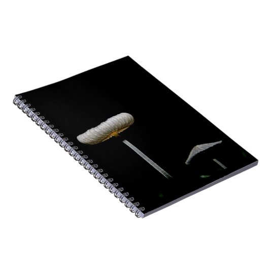 Pilze Notizblock (Rechte Seite)