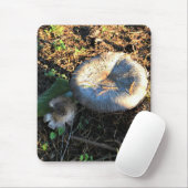 Pilze, Oregon Mousepad (Mit Mouse)