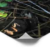 Pilze, Oregon Poster (Ecke)