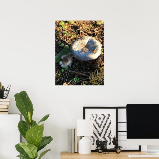 Pilze, Oregon Poster (Heimbüro)