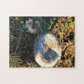 Pilze, Oregon Puzzle (Horizontal)