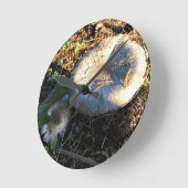 Pilze, Oregon Runde Wanduhr (Winkel)