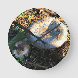 Pilze, Oregon Runde Wanduhr