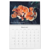 Pilze & Pilze 2020 Kalender (Mär 2027)