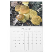 Pilze & Pilze 2020 Kalender (Feb 2027)