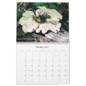 Pilze & Pilze 2020 Kalender (Jan 2027)
