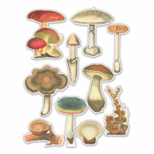 Pilze Pilze Fungi Pflanze Botanischer Garten Kunst Aufkleber