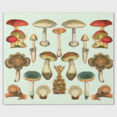  Pilze Pilze Fungi Pflanze Kollage Botanischer Gar Geschenkpapier (Flach)
