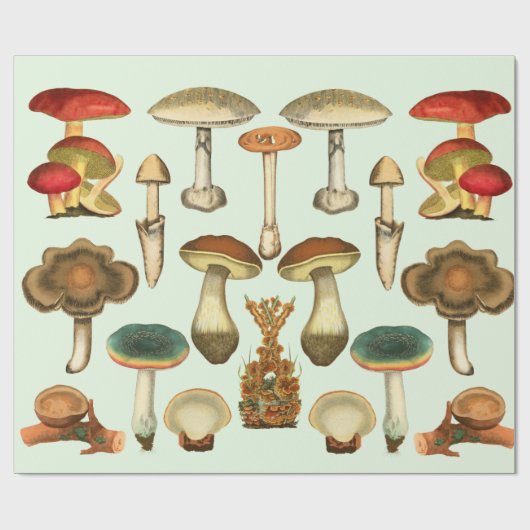 Pilze Pilze Fungi Pflanze Kollage Botanischer Gar Geschenkpapier (Flach)