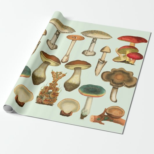  Pilze Pilze Fungi Pflanze Kollage Botanischer Gar Geschenkpapier (Ungerollt)