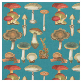 Pilze Pilze Fungi Pflanze Kollektion Botanischer G Stoff