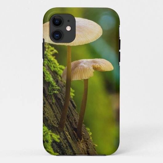 Pilze, Pilze, Moose Case-Mate iPhone Hülle (Rückseite)