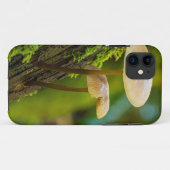 Pilze, Pilze, Moose Case-Mate iPhone Hülle (Rückseite (Horizontal))