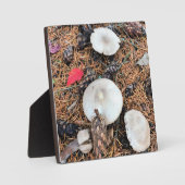 Pilze & Pine Cones Fotoplatte (Vorderseite)