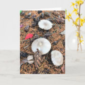 Pilze & Pine Cones Karte (Gelbe Blume)