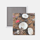 Pilze & Pine Cones Magnet (Vorderseite/Rückseite)