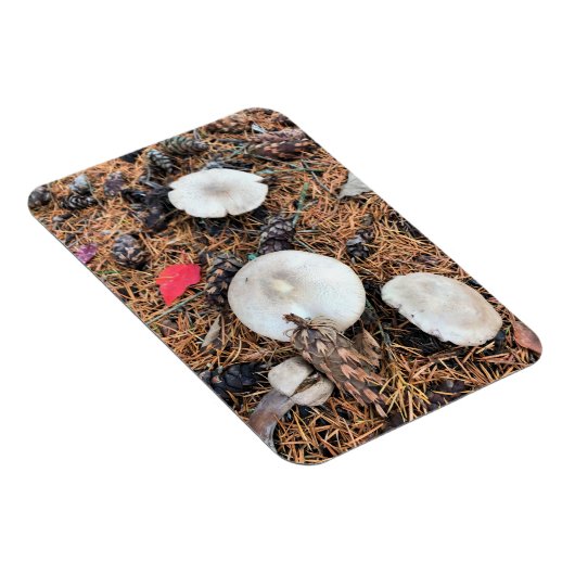 Pilze & Pine Cones Magnet (Rechte Seite)