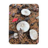 Pilze & Pine Cones Magnet (Vertikal)