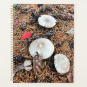 Pilze & Pine Cones Planer (Vorderseite)